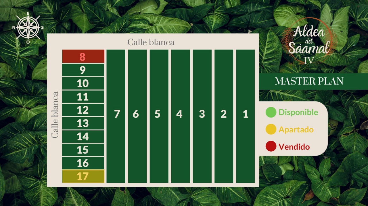 Plano Maestro de Aldea del Saamal IV