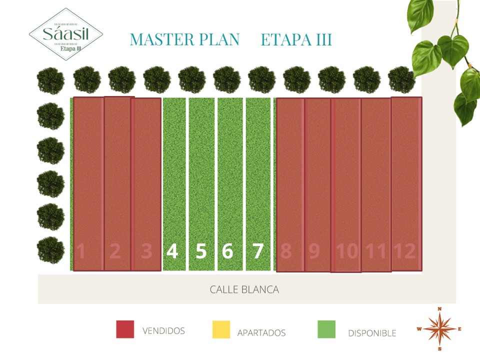 Plano Maestro de Saasil III